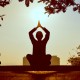 Incienso Premium masala Balaji Dharma Karma Yoga
