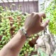 Pulsera Elástica Fluorita 6 mm