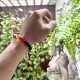 Pulsera Elástica Turmalina 7 Chakras con charm arbol de la vida 6 mm