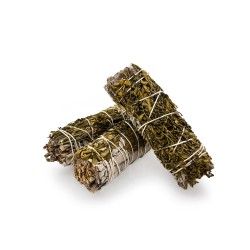 Atado de Salvia Blanca con Ruda 10cm