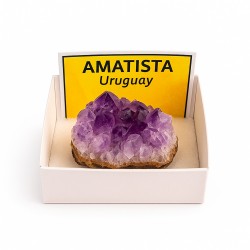 Amatista en bruto Cajita de 1 Ud.