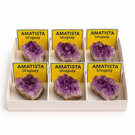 Amatista en bruto Cajita de 6 Ud.