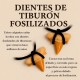 Diente de Tiburón Fosilizado 1 Uds.